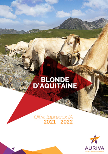 Catalogue Blond AURIVA 2021 2022 1
