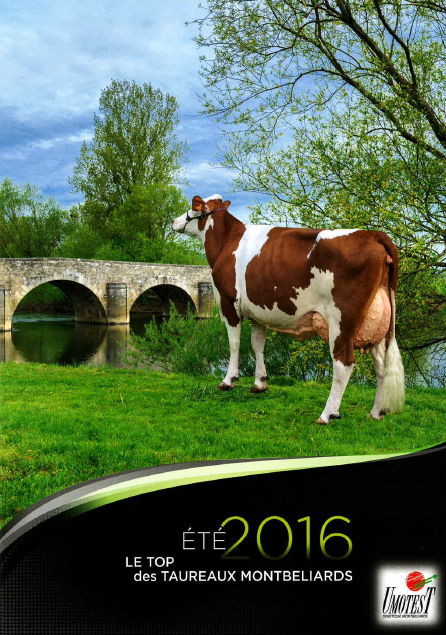 Catalogue des taureaux MONTBELIARDS été 2016