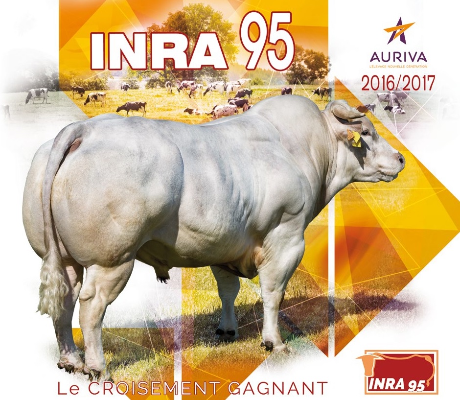 page couv inra95 2017