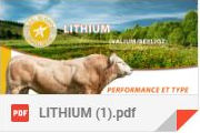 Nouveau taureau : lithium - Blonde d'aquitaine